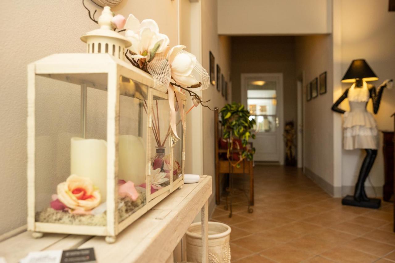 Vecchio Granaio Bed and Breakfast Pisa Eksteriør billede